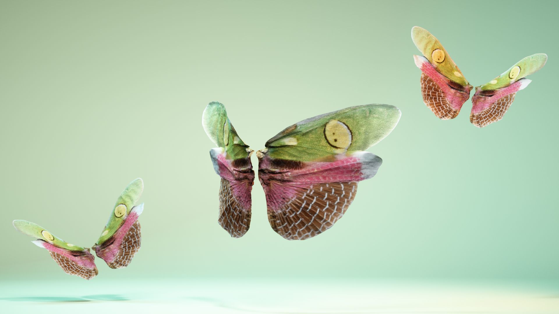 Butterfly Creoboter Mortis JAVA Low-poly 3D model_5
