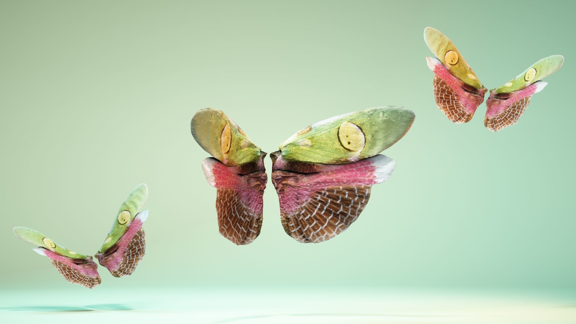 Butterfly Creoboter Mortis JAVA Low-poly 3D model_1