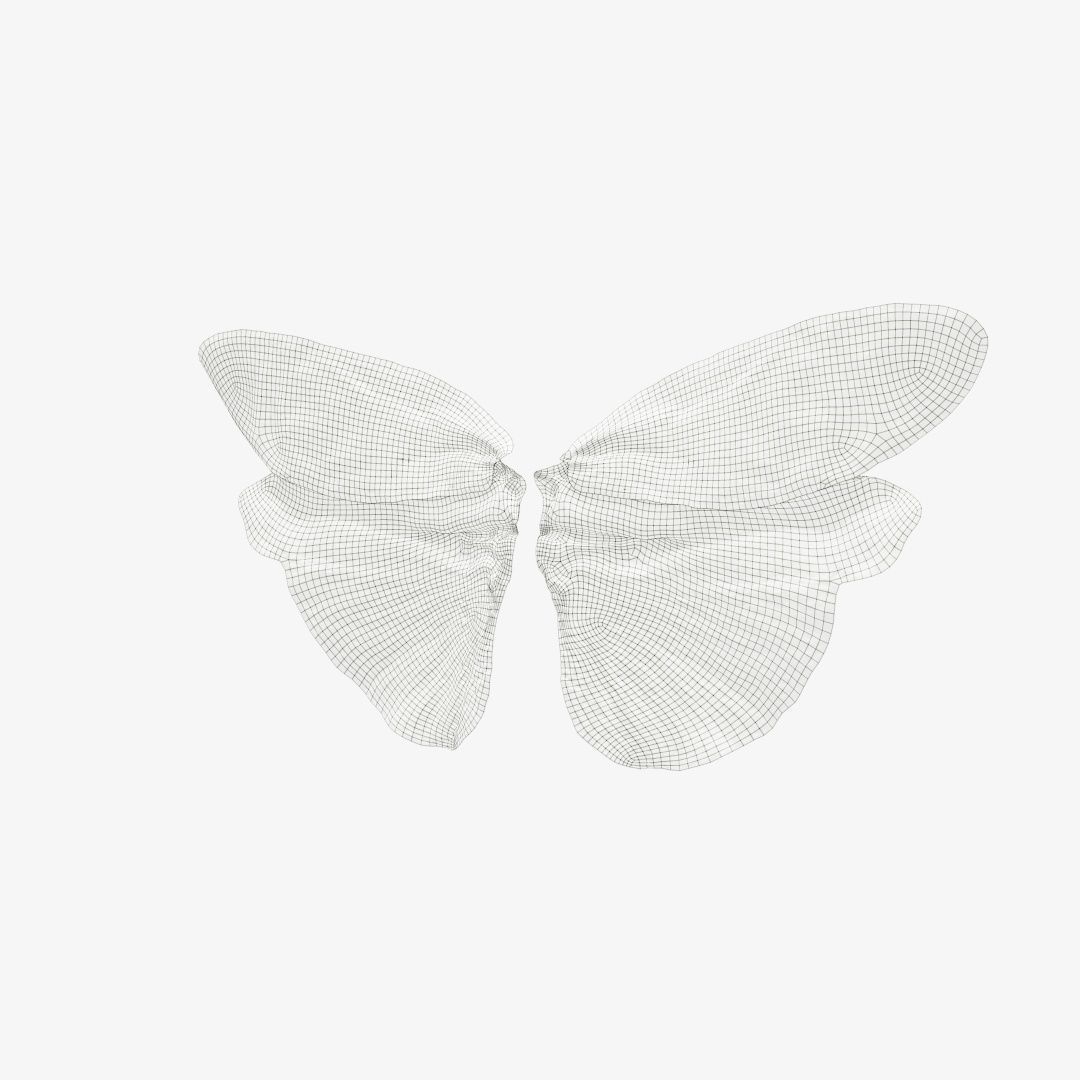 Butterfly Creoboter Mortis JAVA Low-poly 3D model_12
