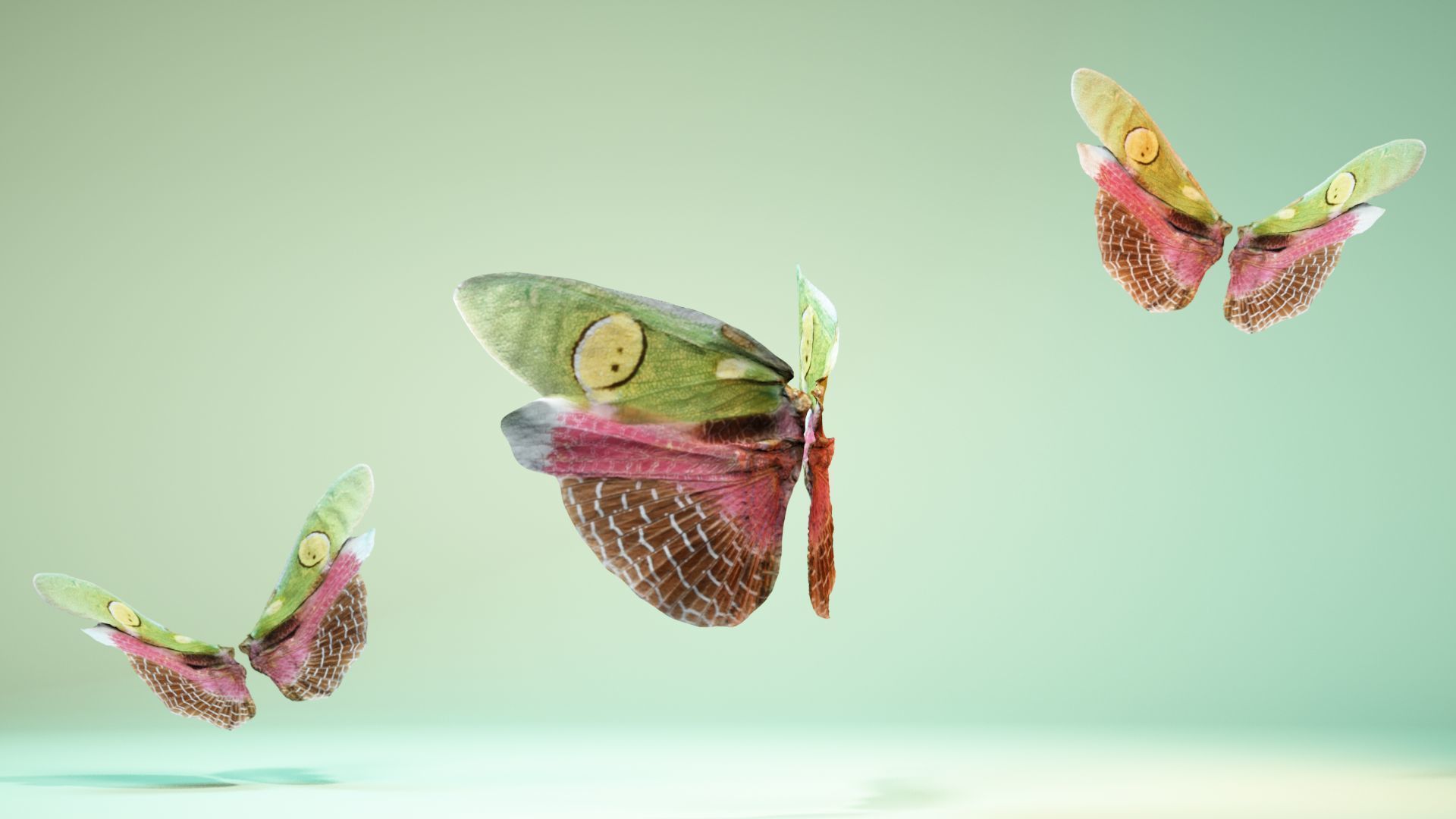 Butterfly Creoboter Mortis JAVA Low-poly 3D model_8