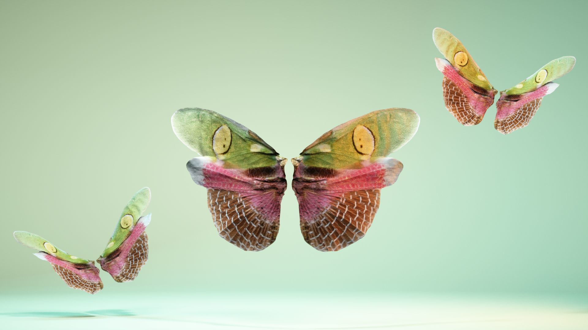 Butterfly Creoboter Mortis JAVA Low-poly 3D model_6
