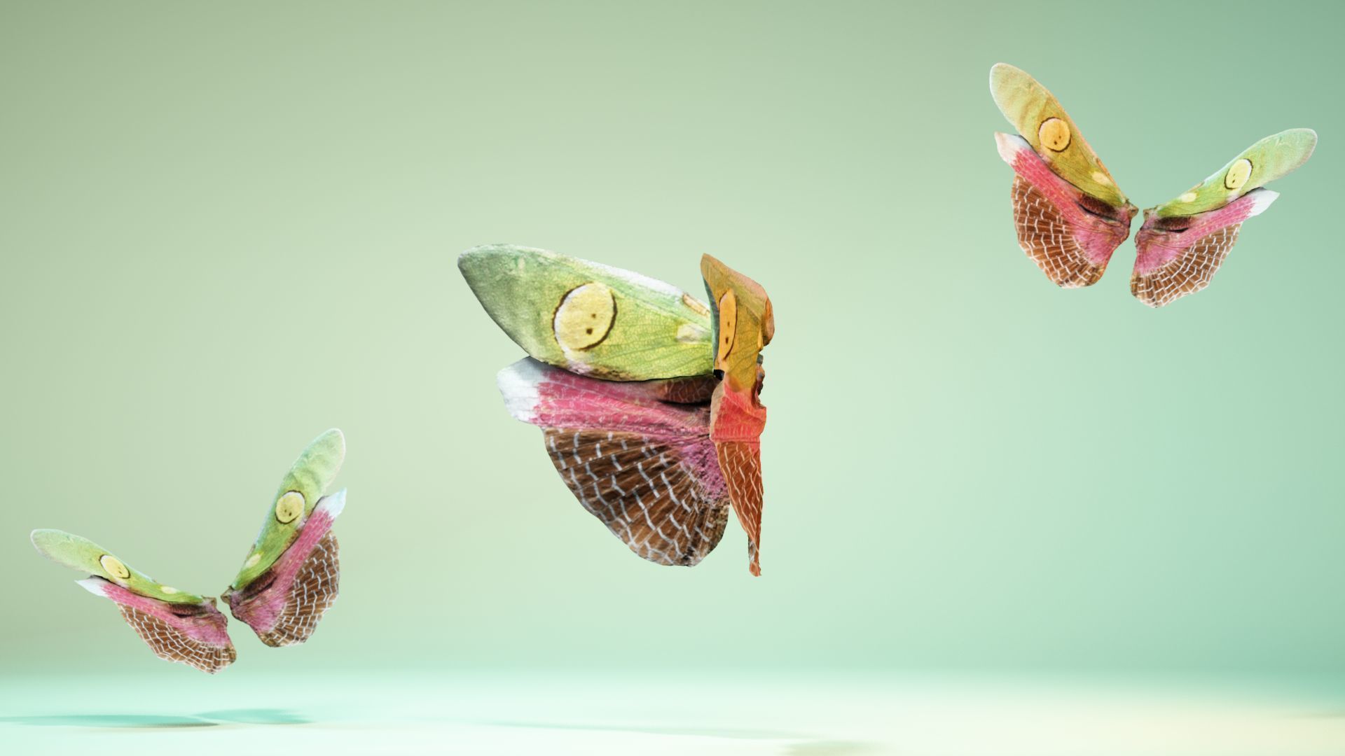 Butterfly Creoboter Mortis JAVA Low-poly 3D model_10