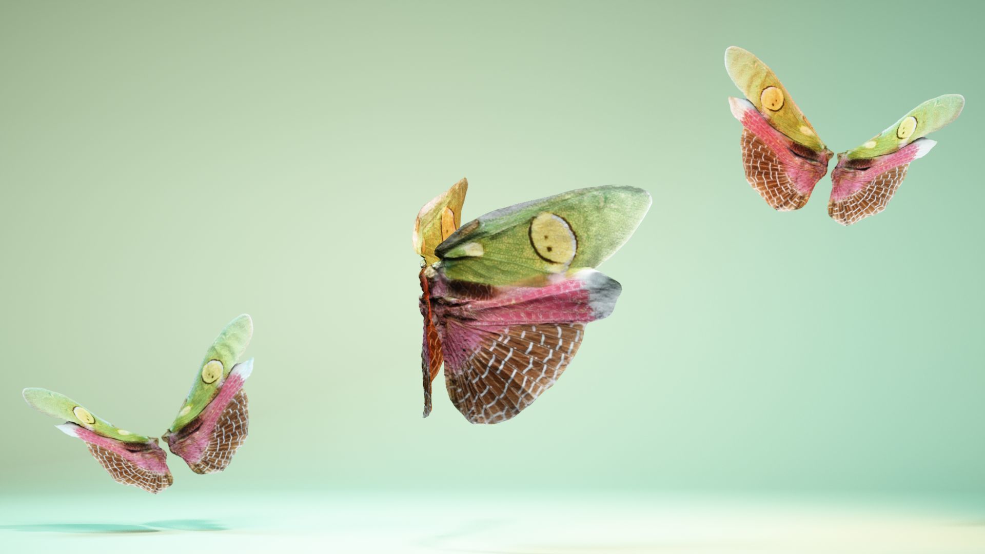 Butterfly Creoboter Mortis JAVA Low-poly 3D model_4