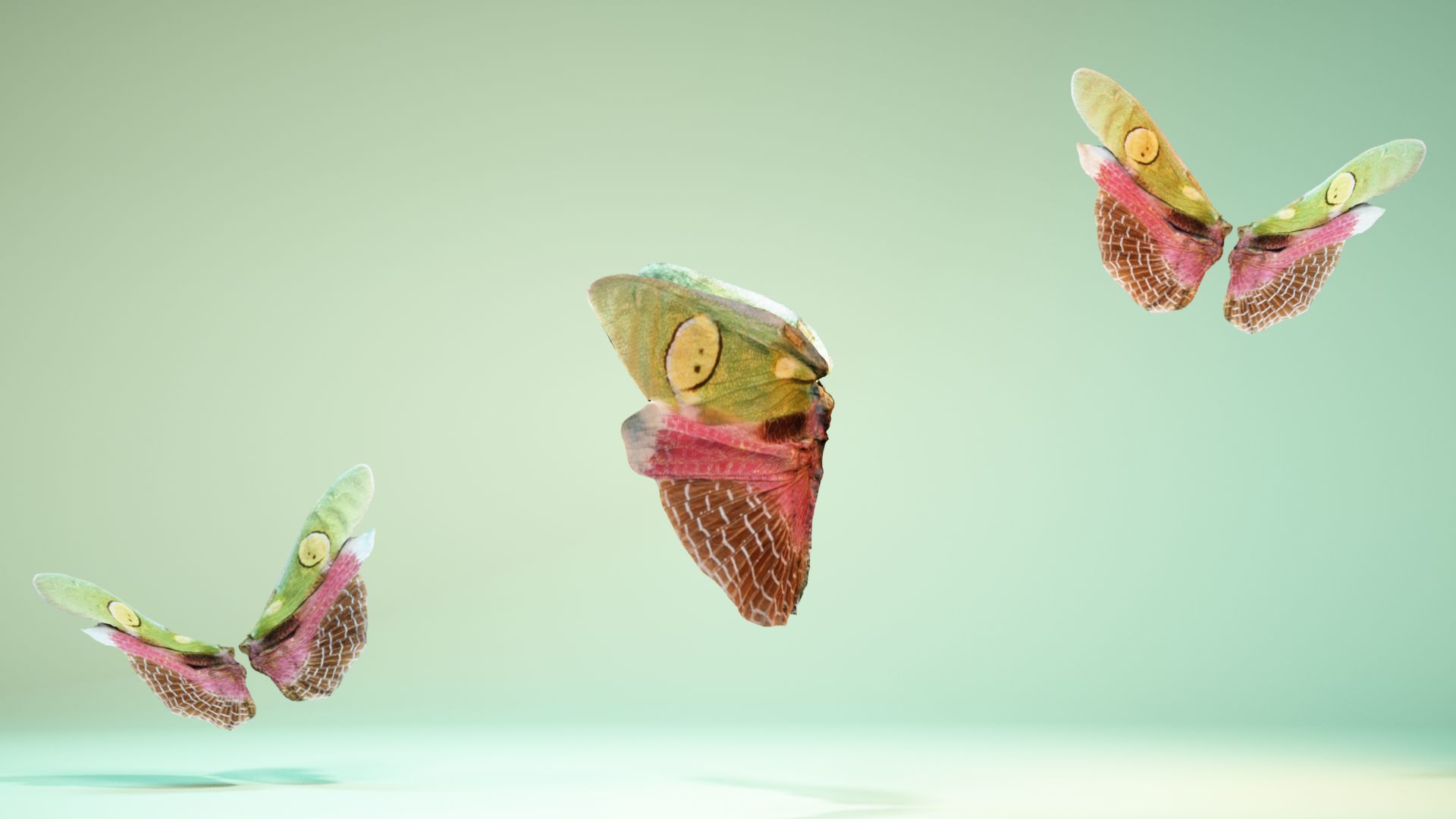 Butterfly Creoboter Mortis JAVA Low-poly 3D model_9