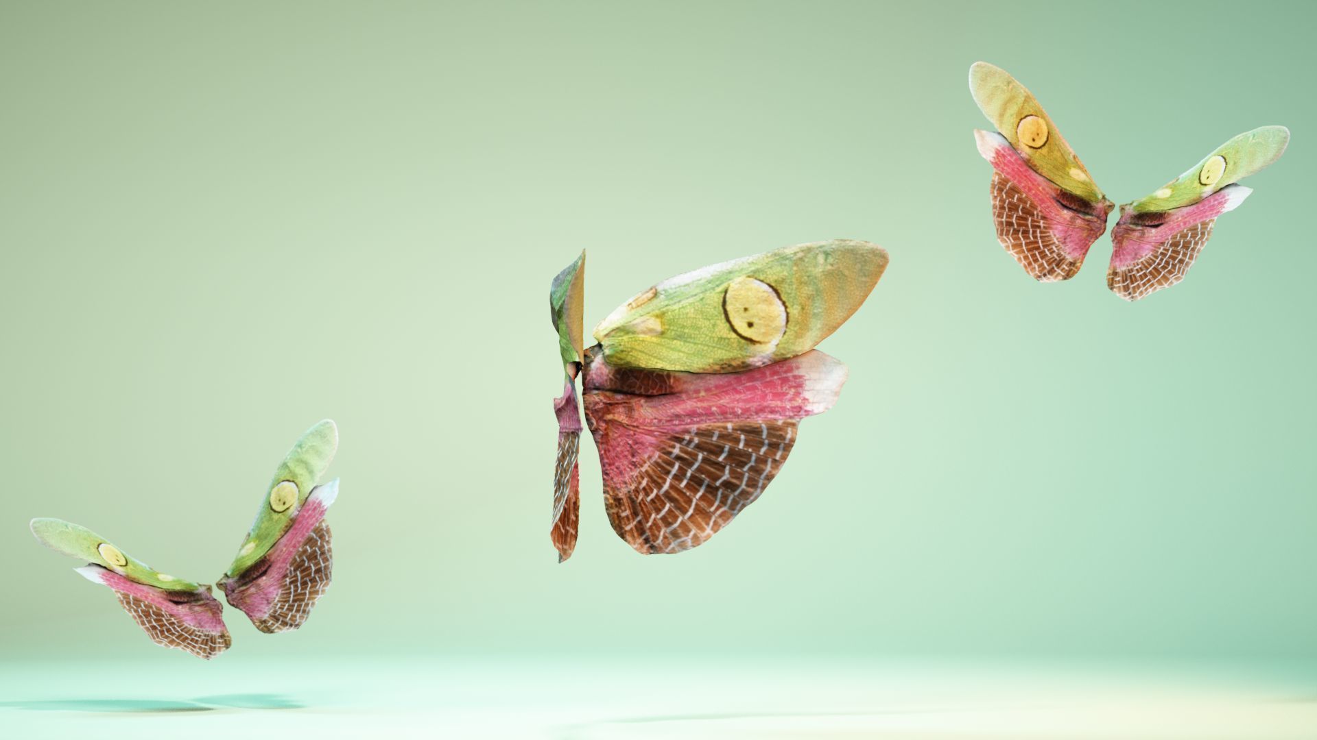 Butterfly Creoboter Mortis JAVA Low-poly 3D model_2
