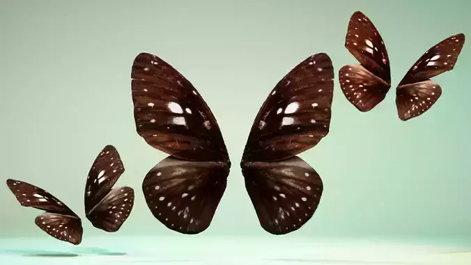 Butterfly 8 three butterflies flying in air