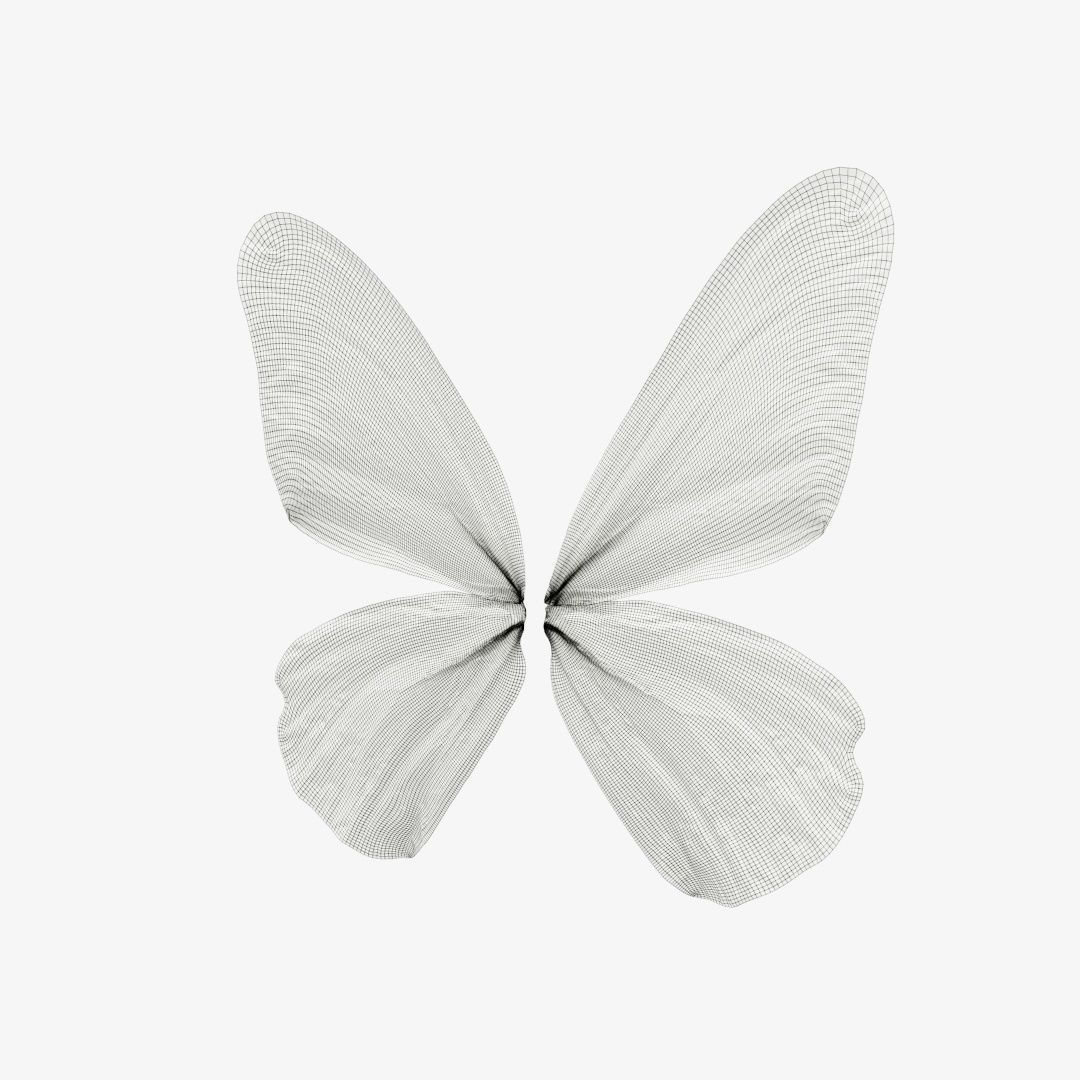 Butterfly 6 - transparent Low-poly 3D model_12