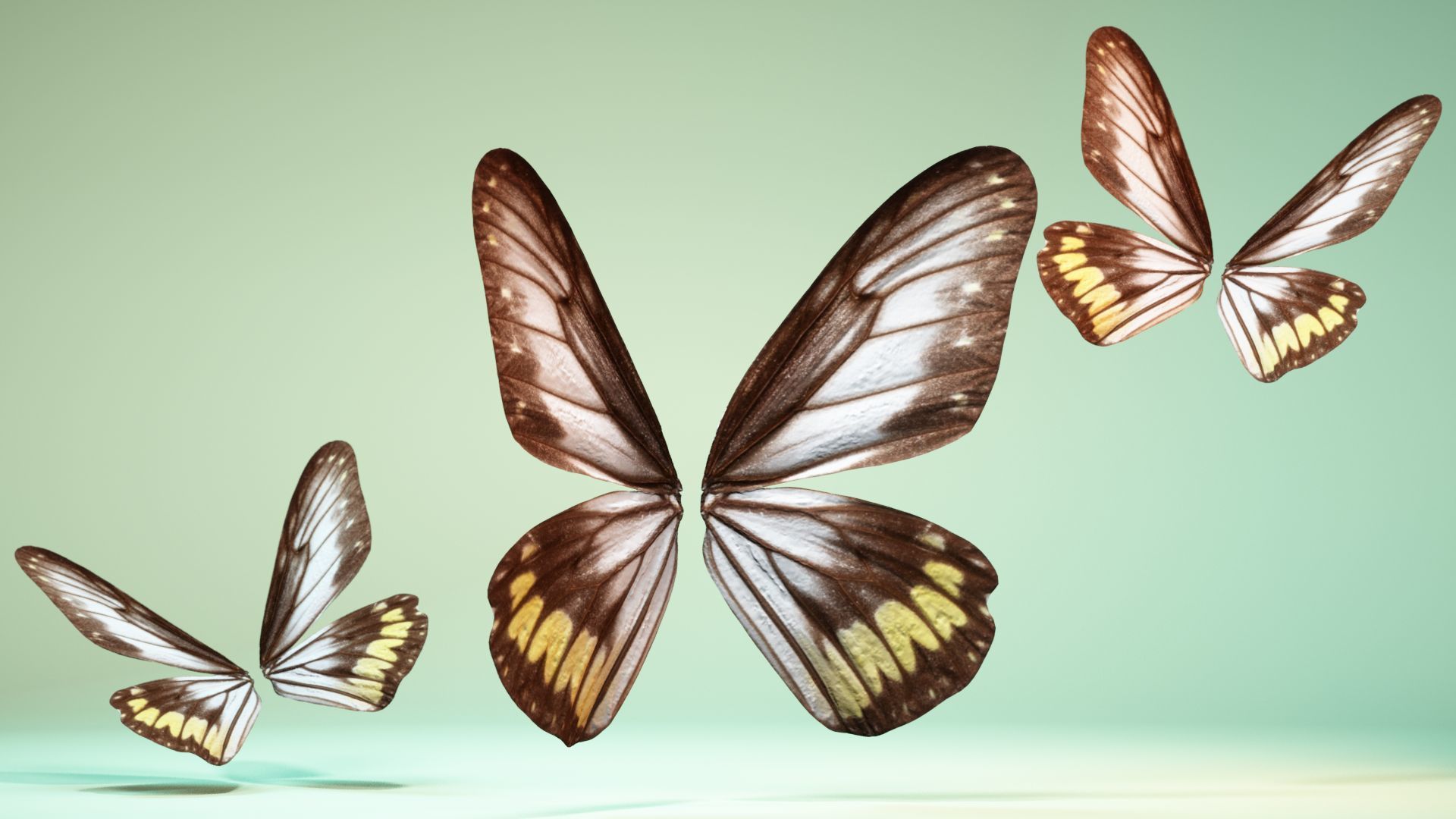 Butterfly 6 - transparent Low-poly 3D model_1