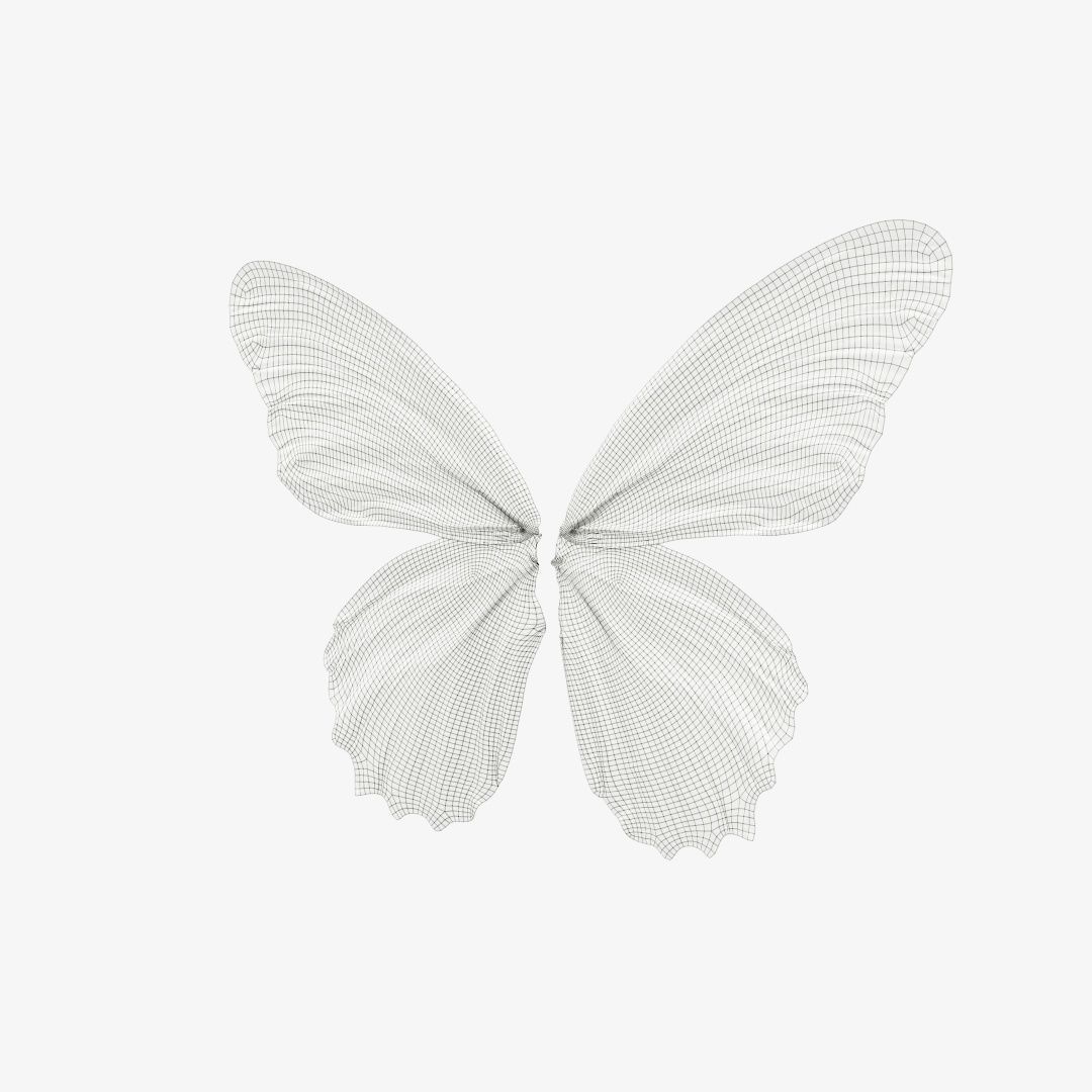 Butterfly 5 Low-poly 3D model_12