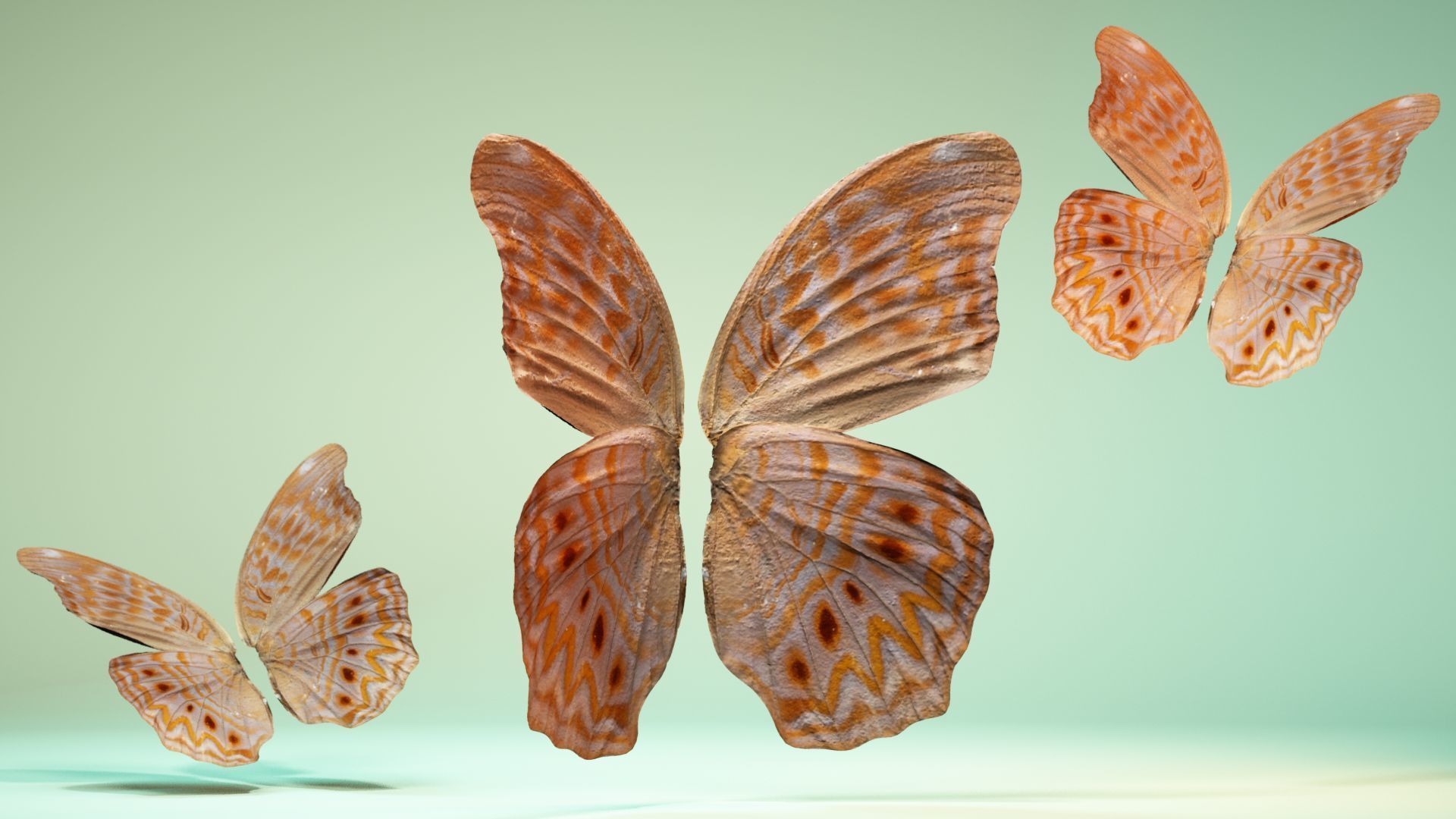 Butterfly 4 pair of wings Low-poly 3D model_1