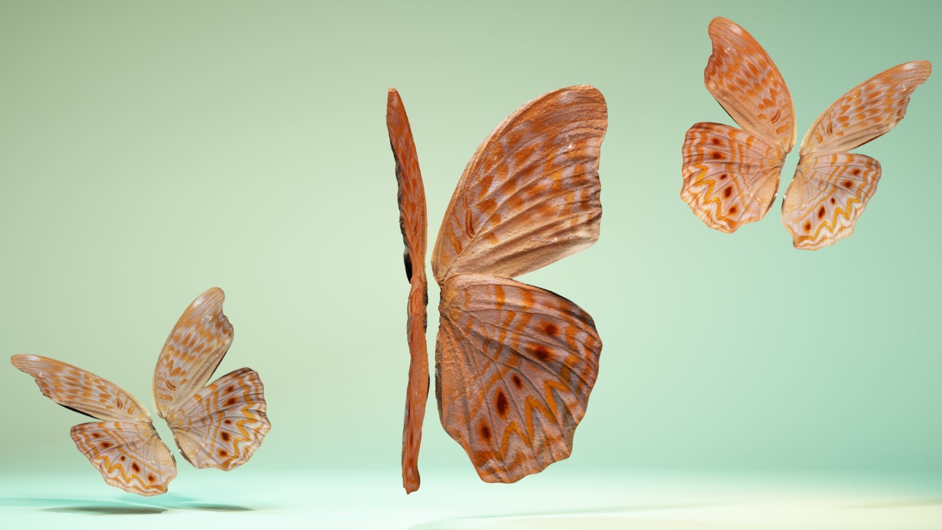 Butterfly 4 pair of wings Low-poly 3D model_2