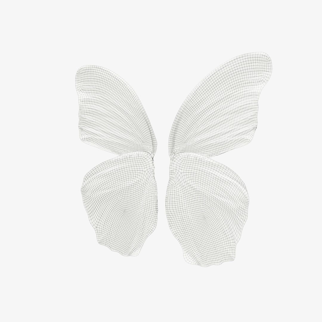 Butterfly 4 pair of wings Low-poly 3D model_12