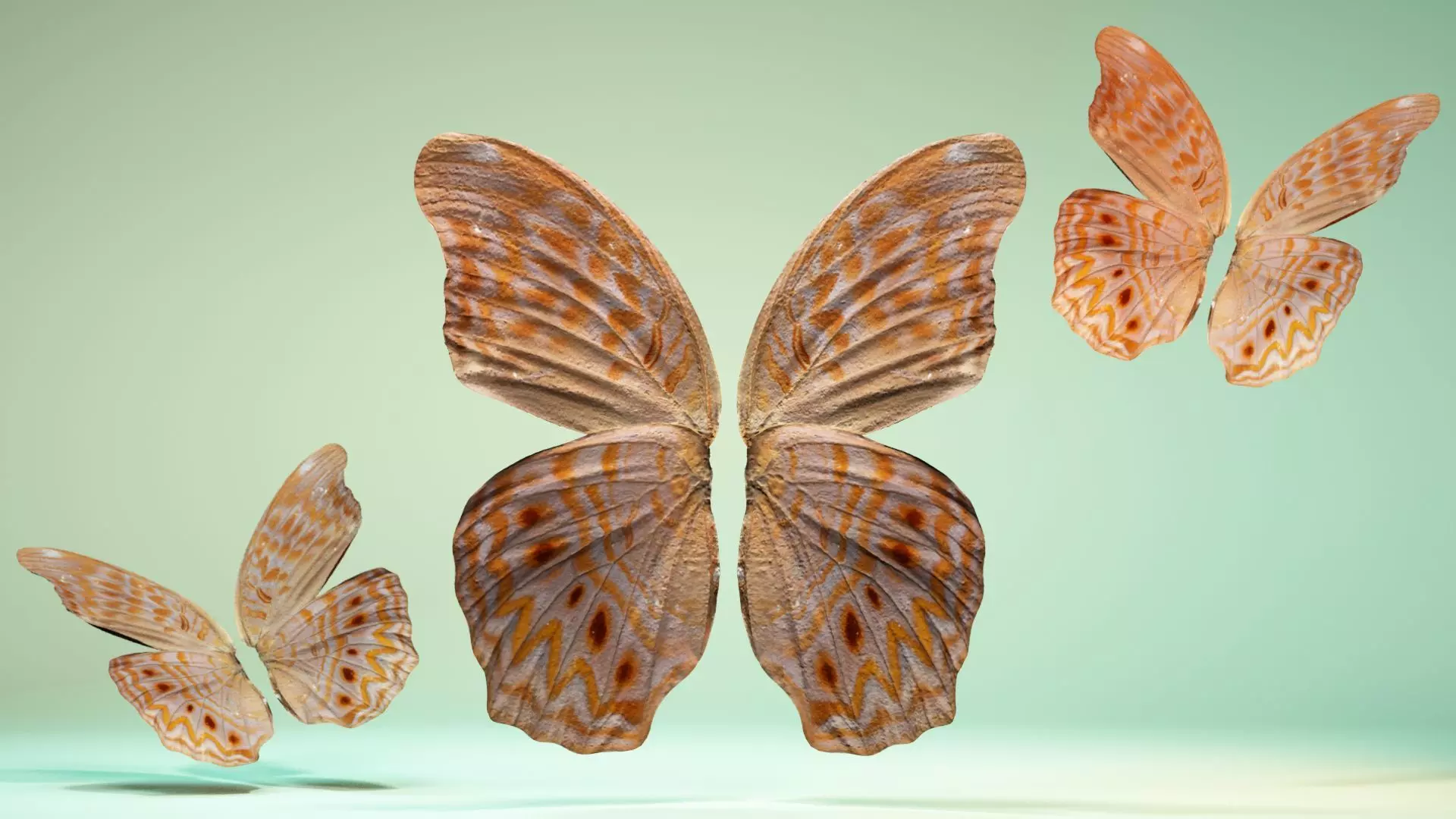 Butterfly 4 pair of wings Low-poly 3D model_0