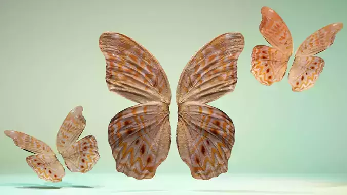 Butterfly 4 pair of wings Low-poly 3D model