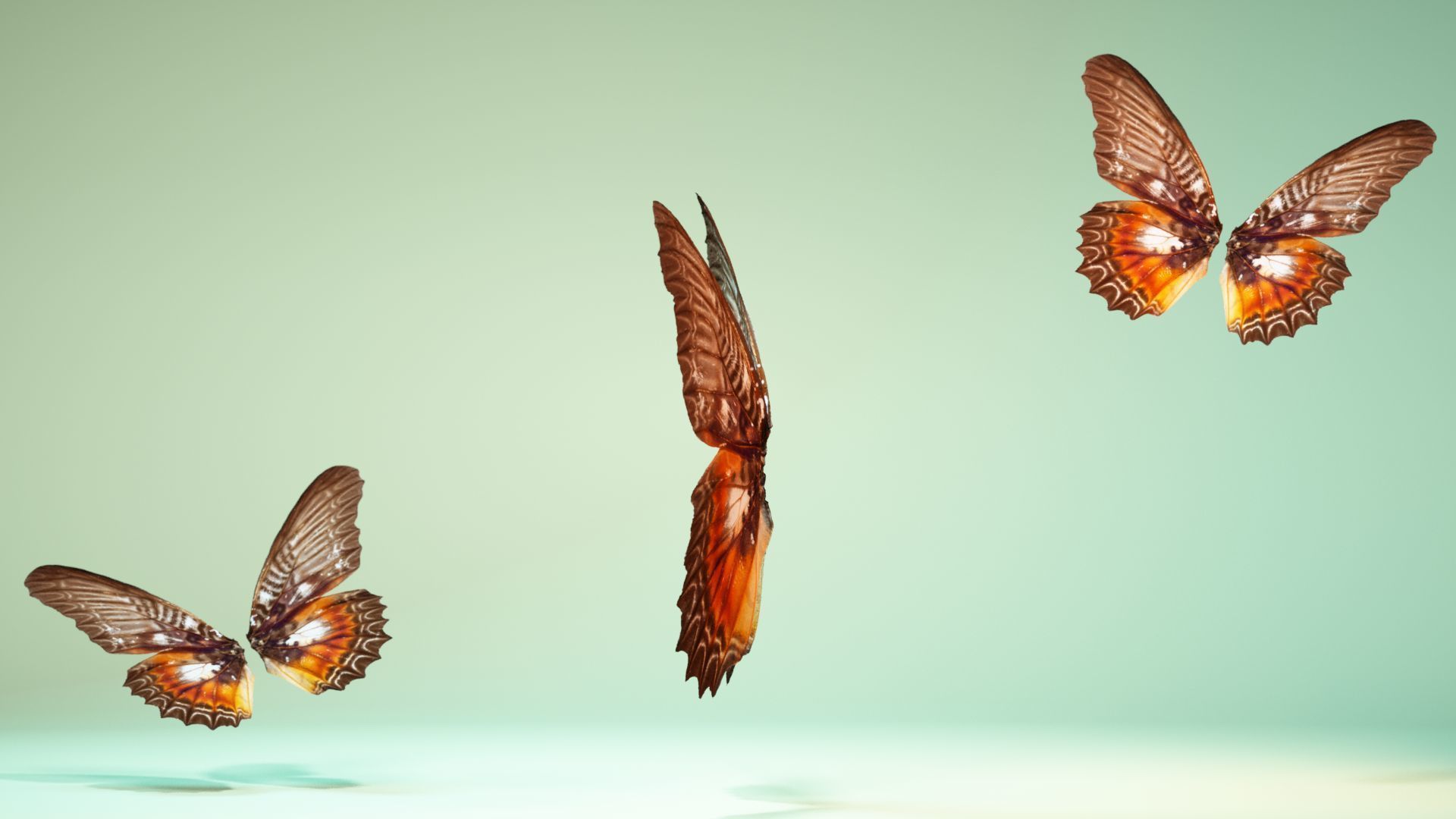 Butterfly 3 wings Low-poly 3D model_9