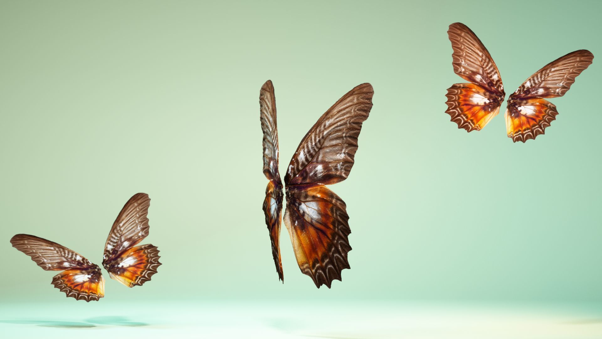 Butterfly 3 wings Low-poly 3D model_4
