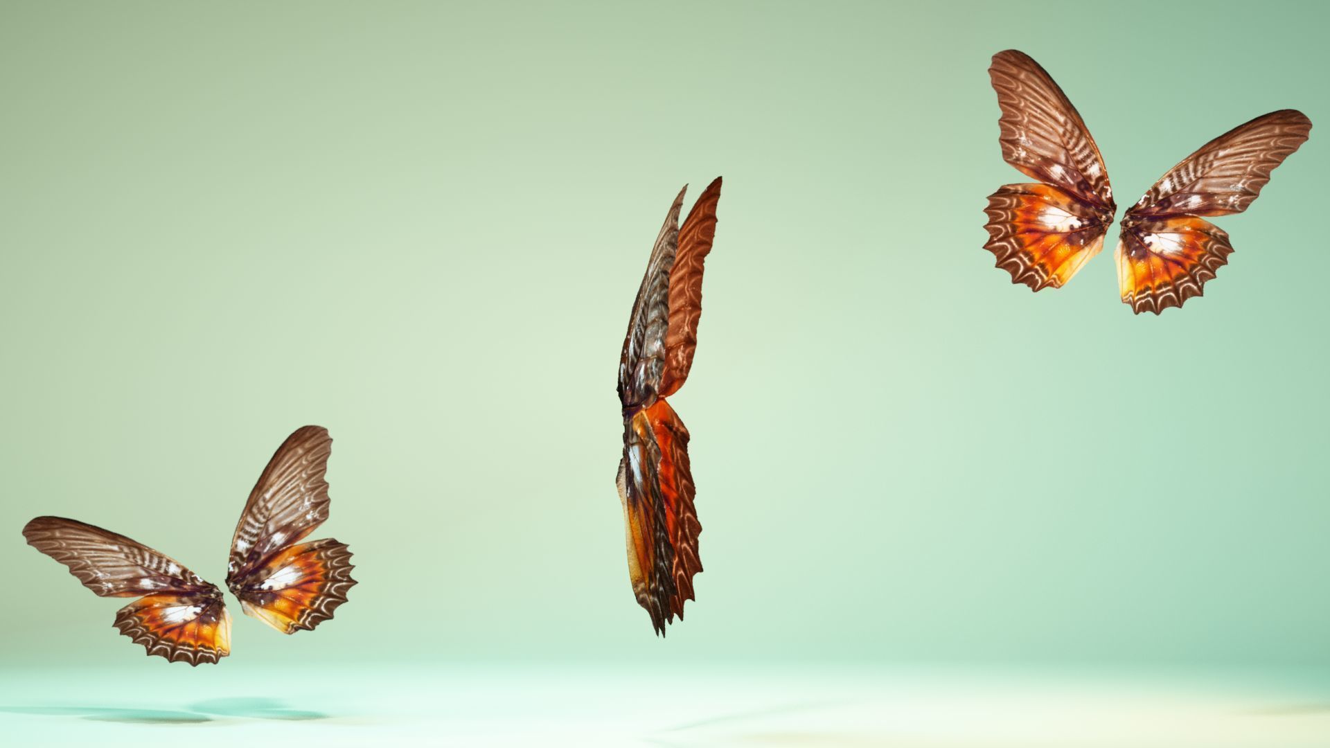 Butterfly 3 wings Low-poly 3D model_3