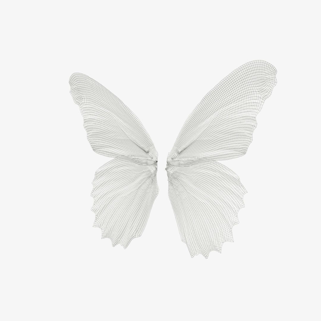 Butterfly 3 wings Low-poly 3D model_12