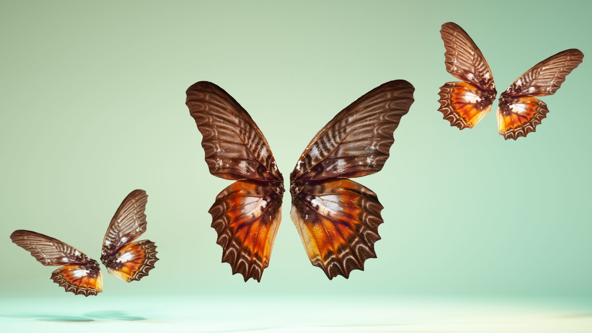 Butterfly 3 wings Low-poly 3D model_1