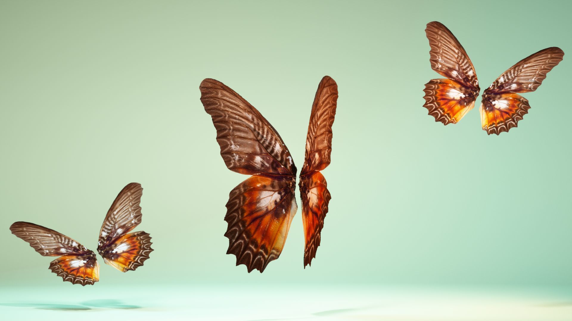 Butterfly 3 wings Low-poly 3D model_8