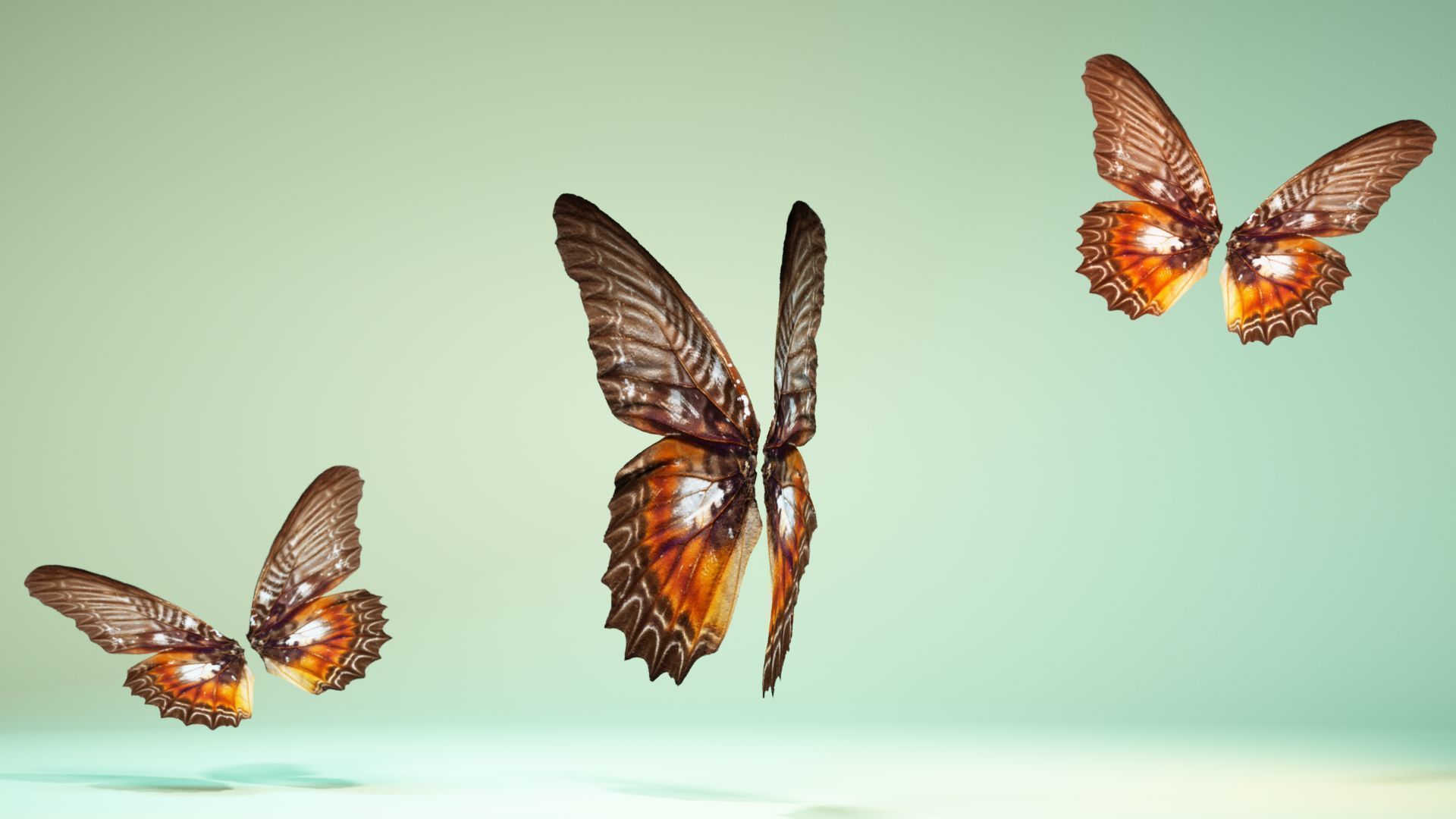 Butterfly 3 wings Low-poly 3D model_10