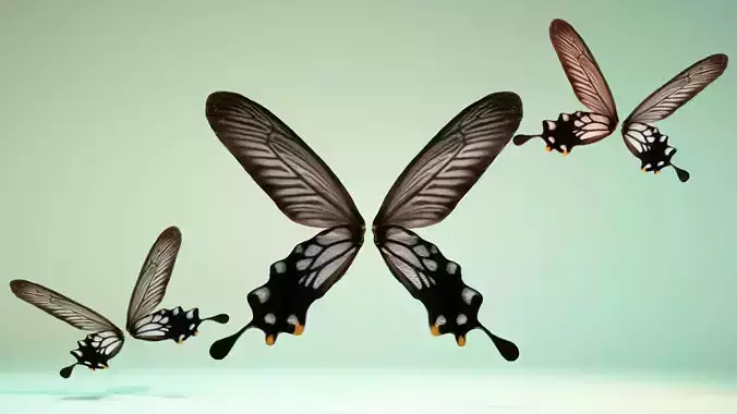 Butterfly 25 Low-poly 3D model
