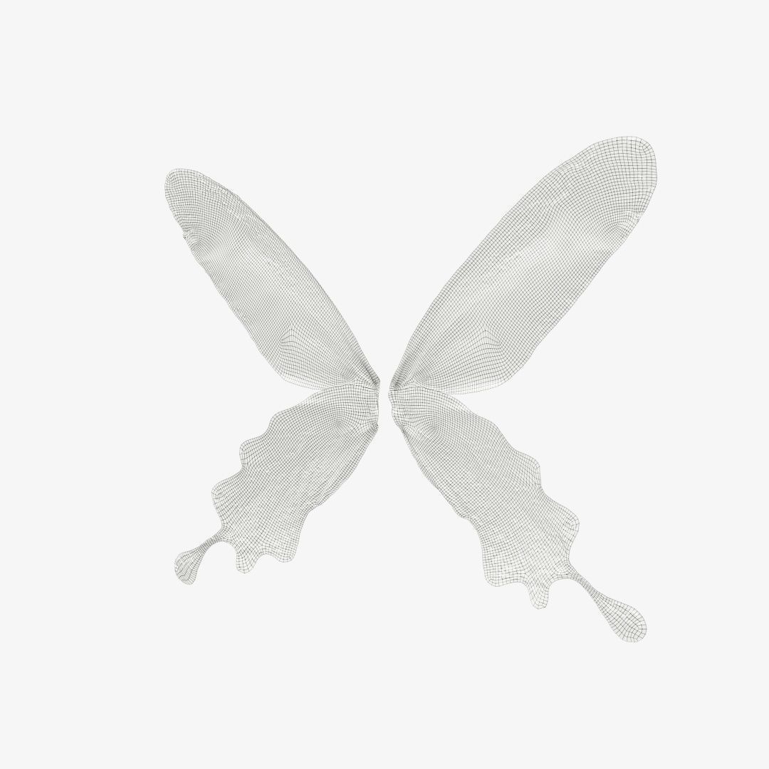 Butterfly 25 Low-poly 3D model_12