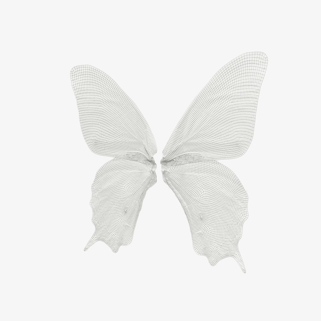Butterfly 23 Low-poly 3D model_12