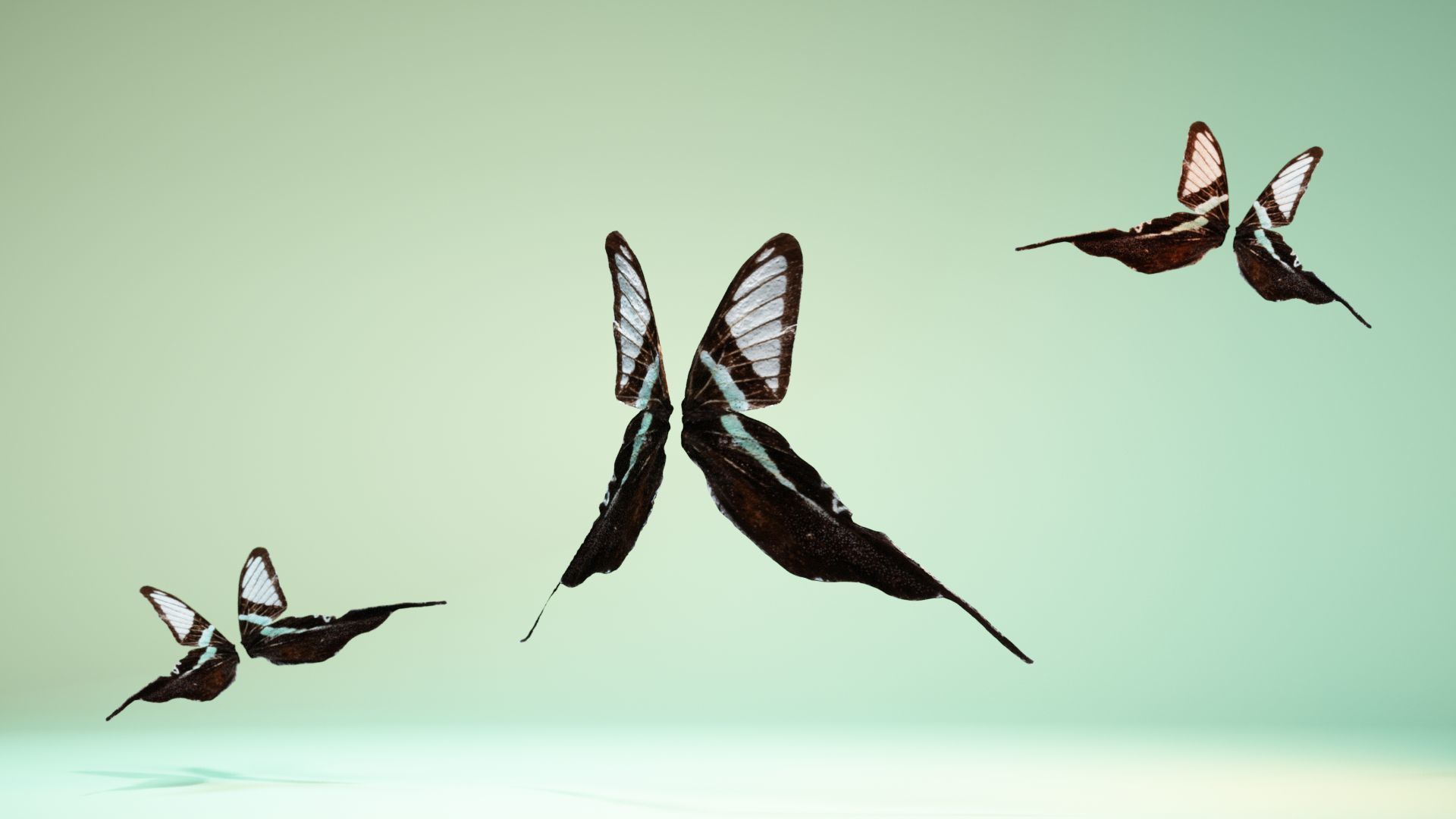 Butterfly 22 Low-poly 3D model_5