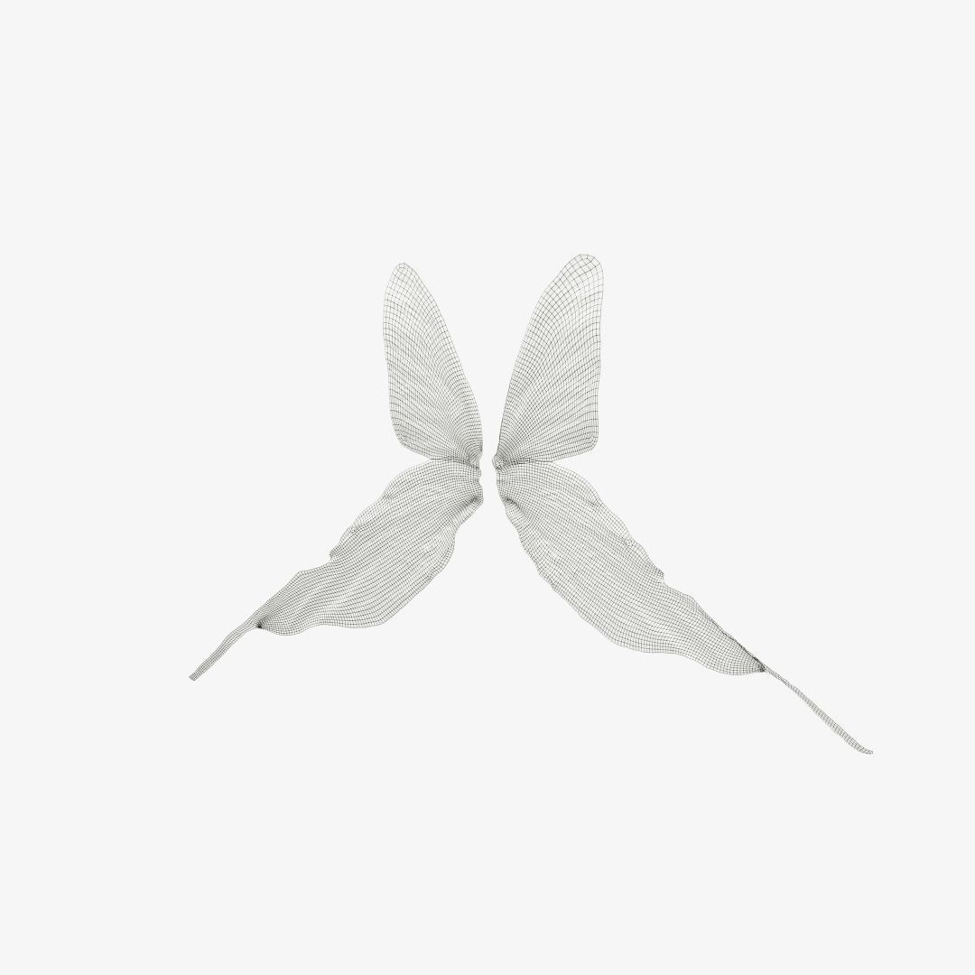 Butterfly 22 Low-poly 3D model_12