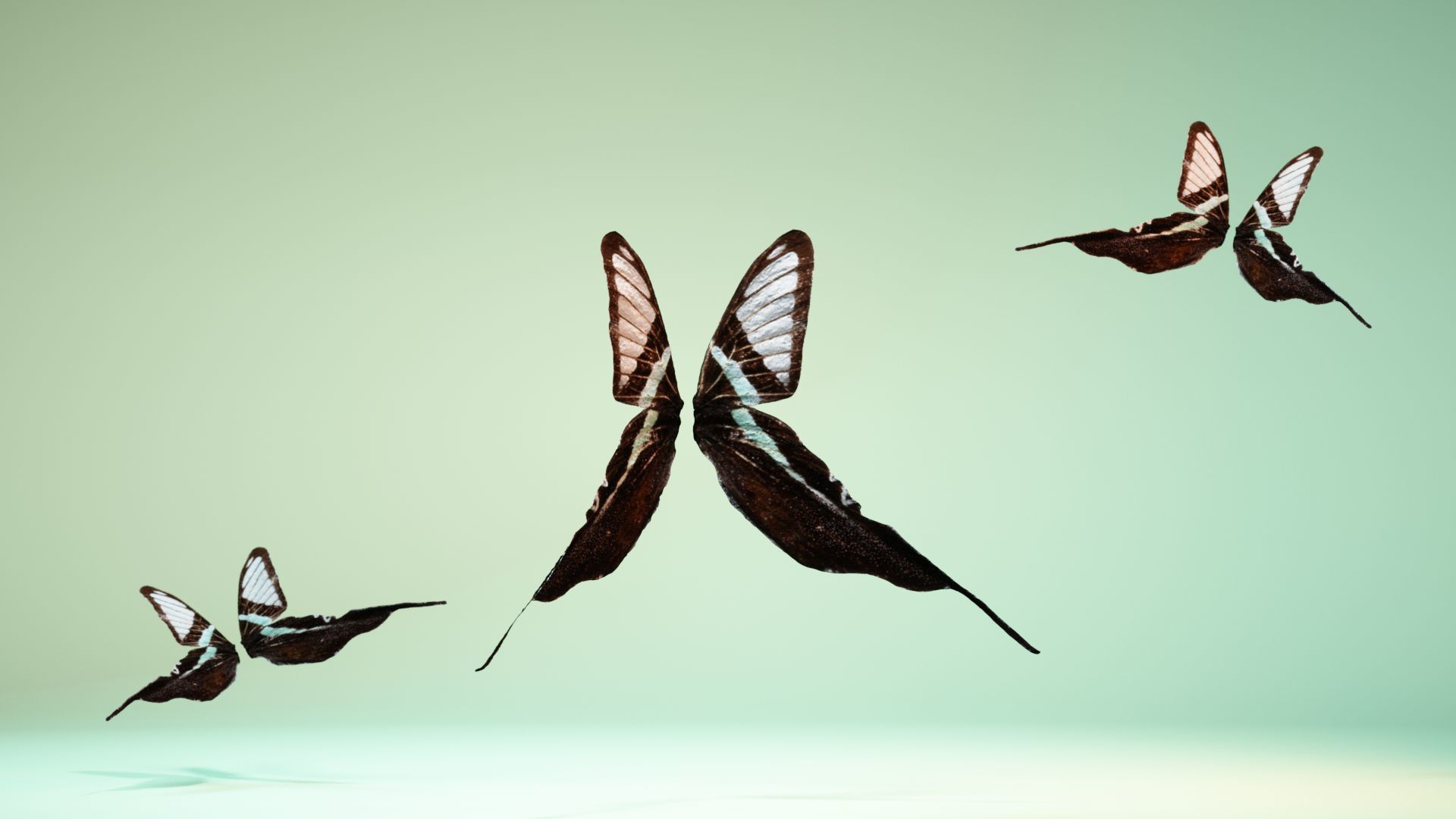 Butterfly 22 Low-poly 3D model_1