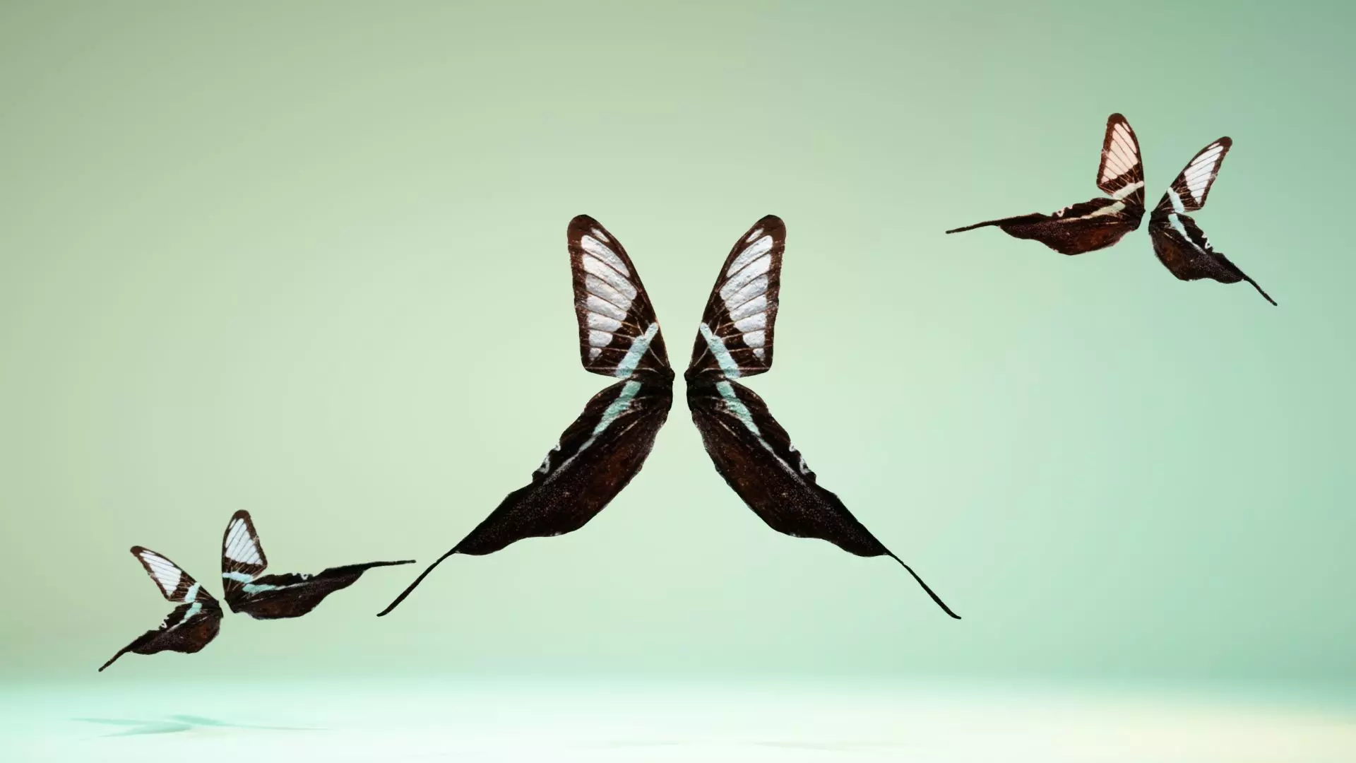 Butterfly 22 Low-poly 3D model_0