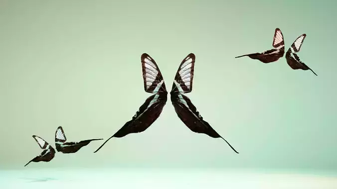 Butterfly 22 Low-poly 3D model
