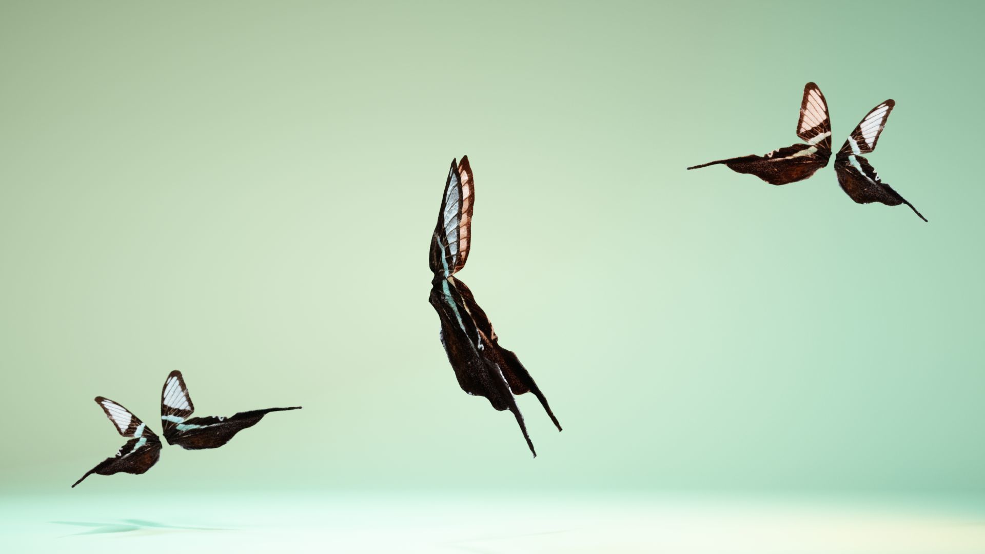 Butterfly 22 Low-poly 3D model_3