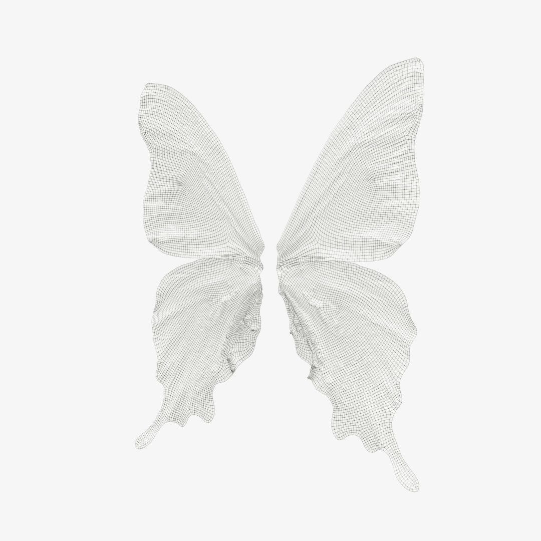 Butterfly 21 Low-poly 3D model_12
