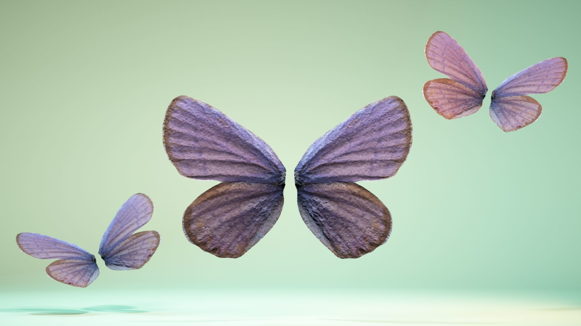 Butterfly 20