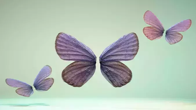 Butterfly 20 Low-poly 3D model