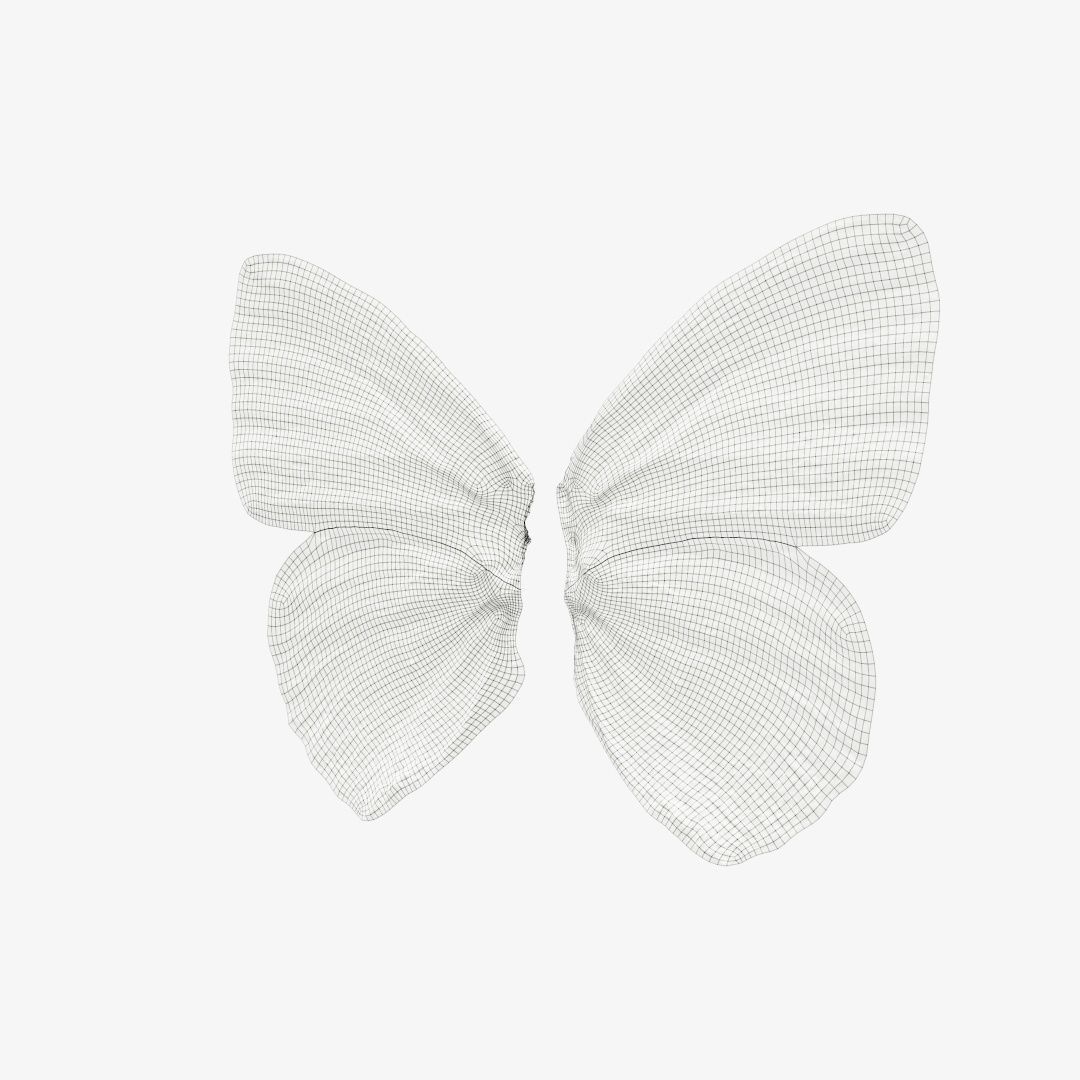 Butterfly 19 Low-poly 3D model_12