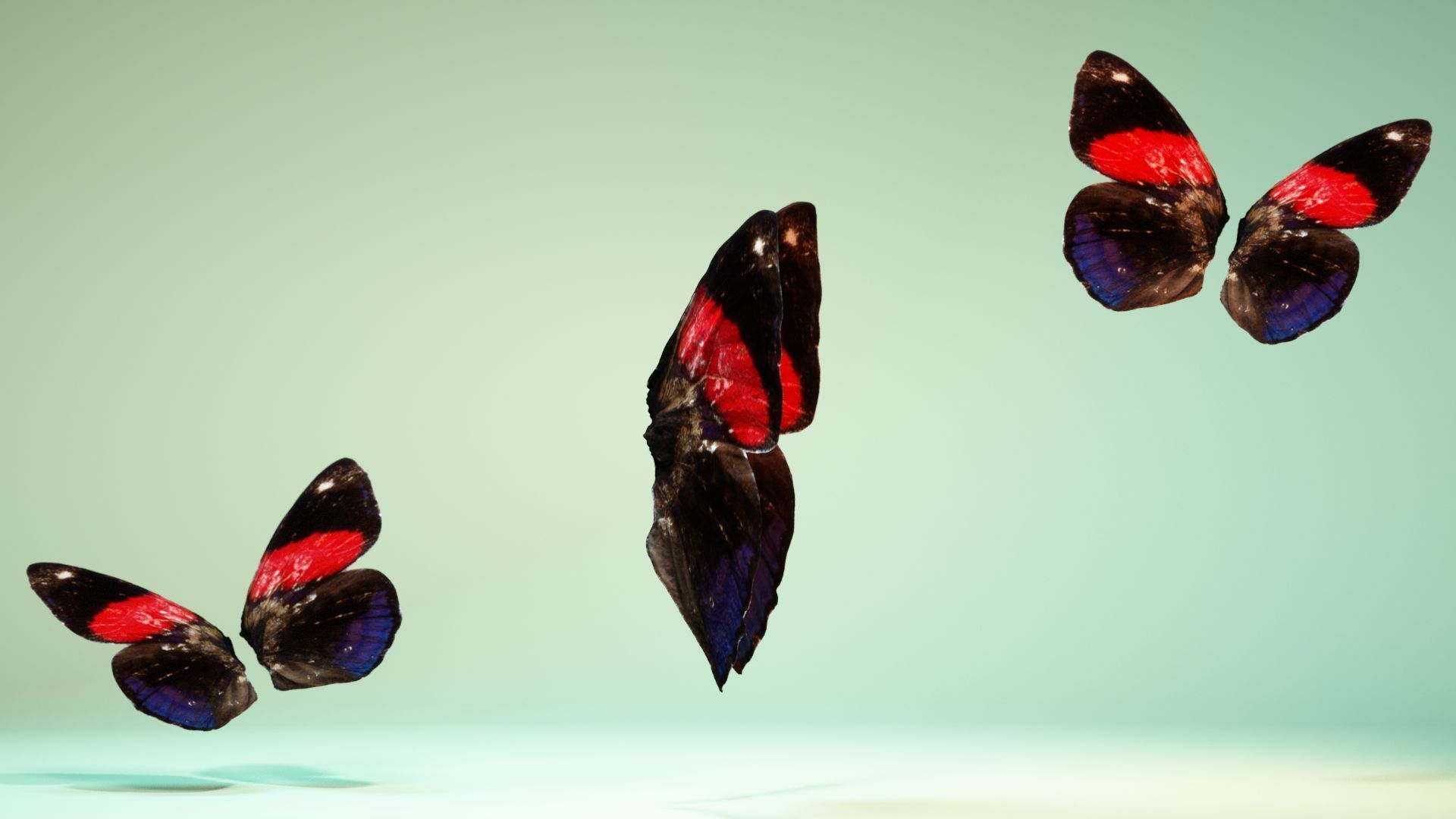 Butterfly 19 Low-poly 3D model_3