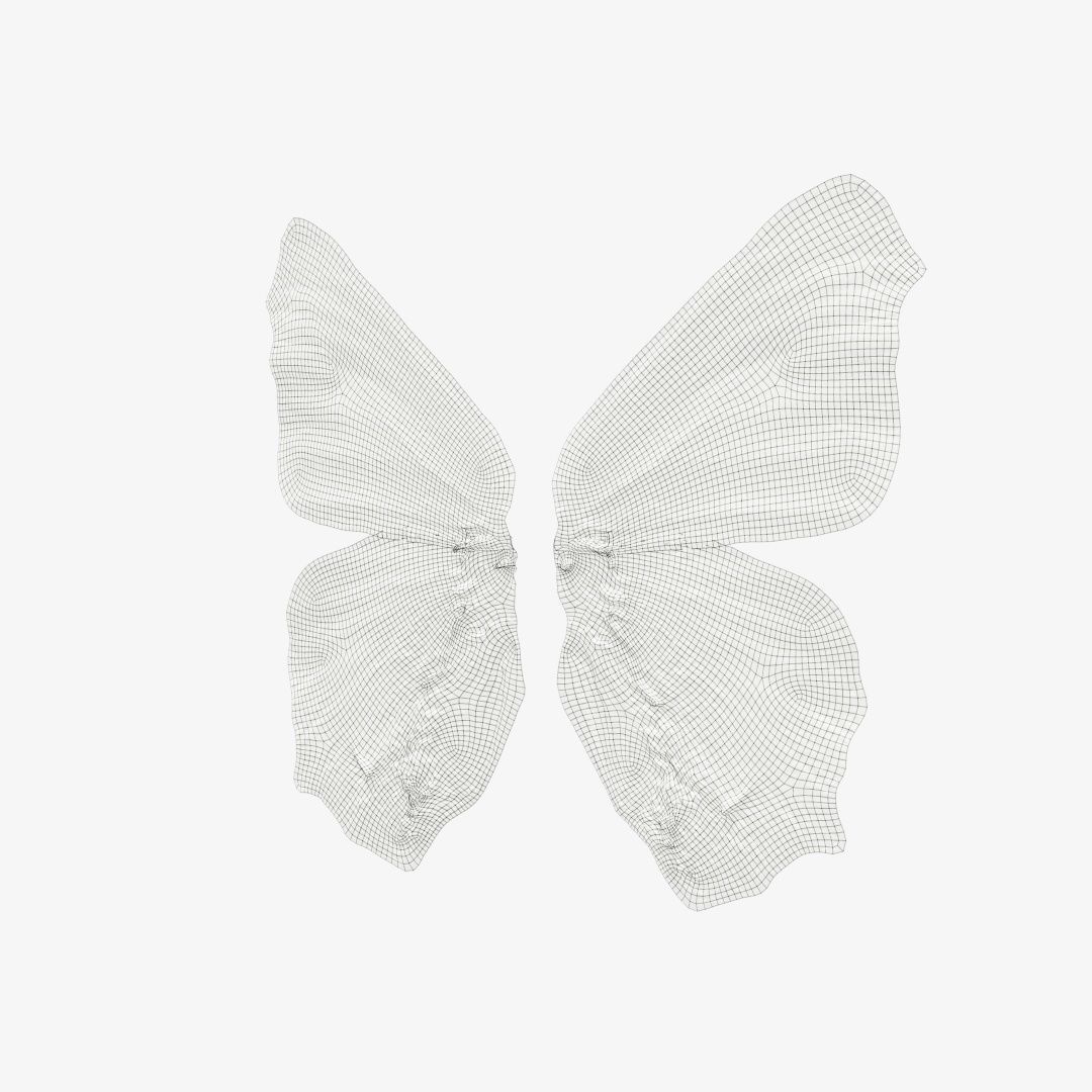 Butterfly 18 Low-poly 3D model_12