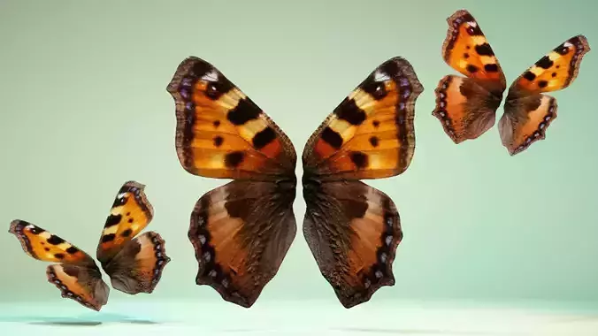 Butterfly 18 Low-poly 3D model