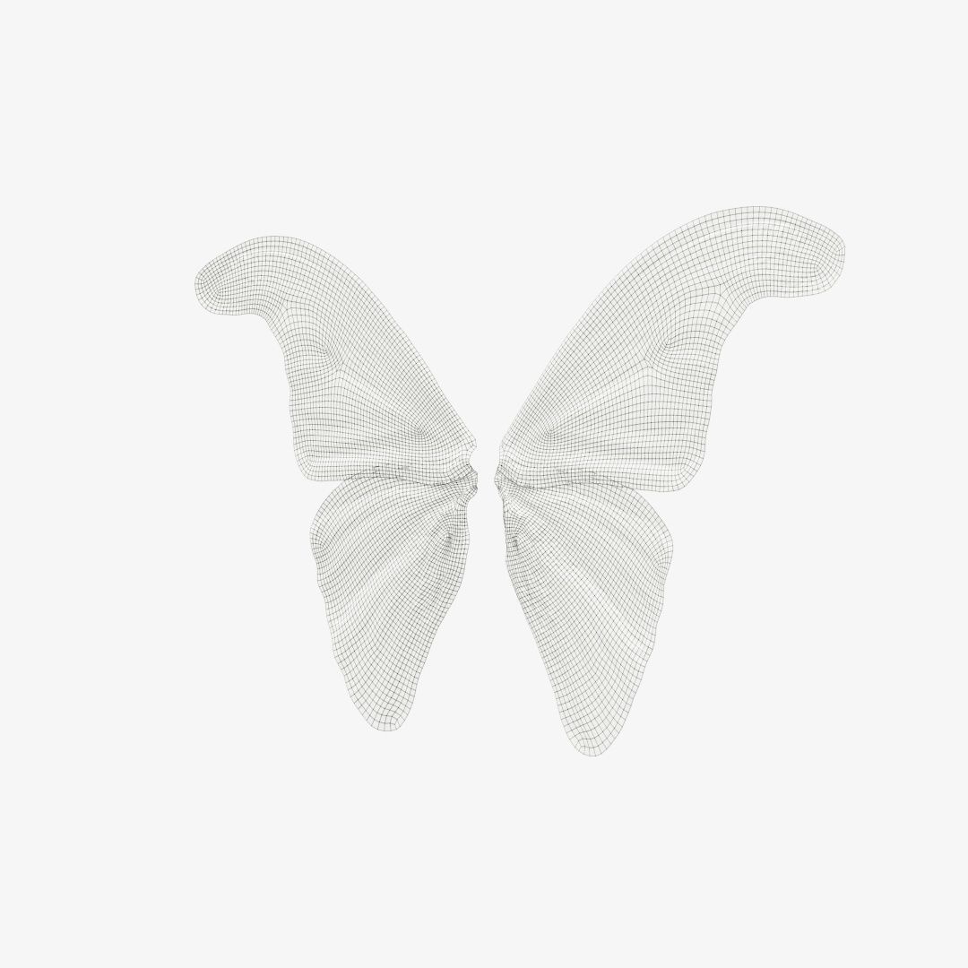 Butterfly 17 Low-poly 3D model_12