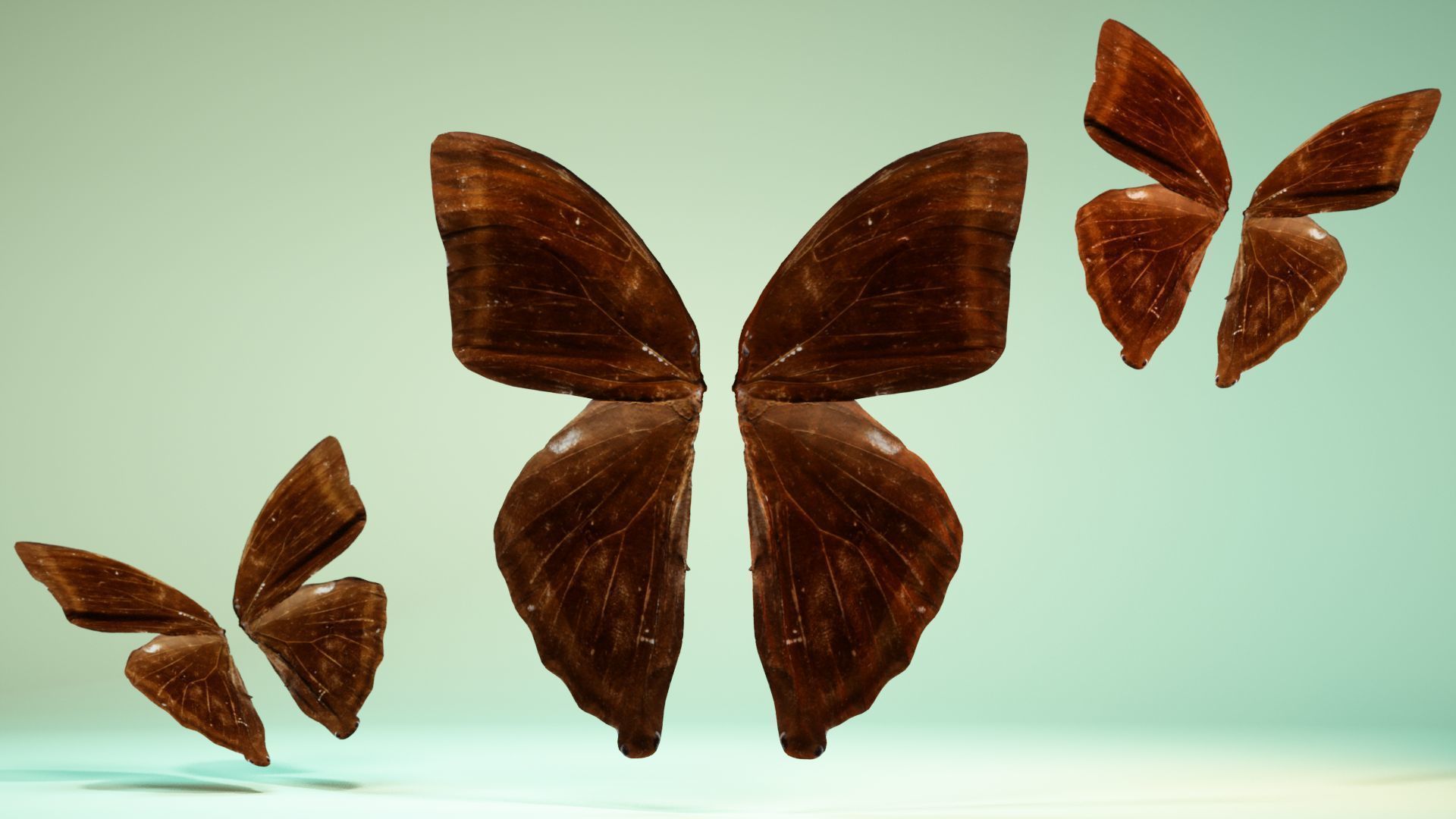Butterfly 14 Low-poly 3D model_6