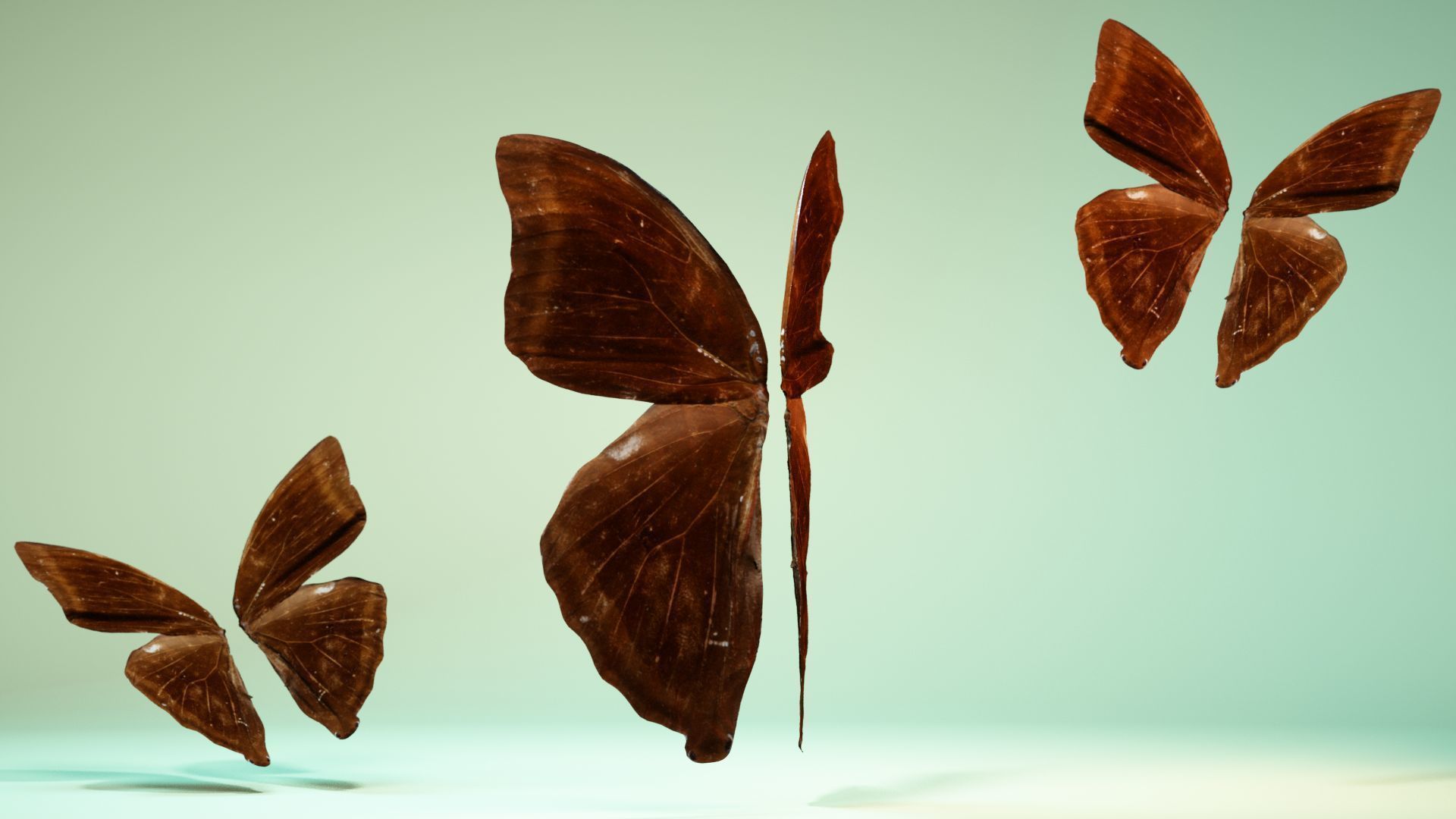 Butterfly 14 Low-poly 3D model_8