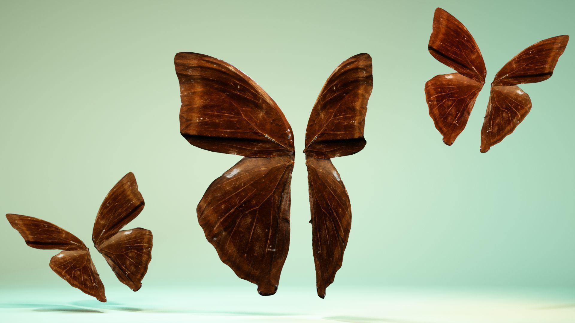 Butterfly 14 Low-poly 3D model_11