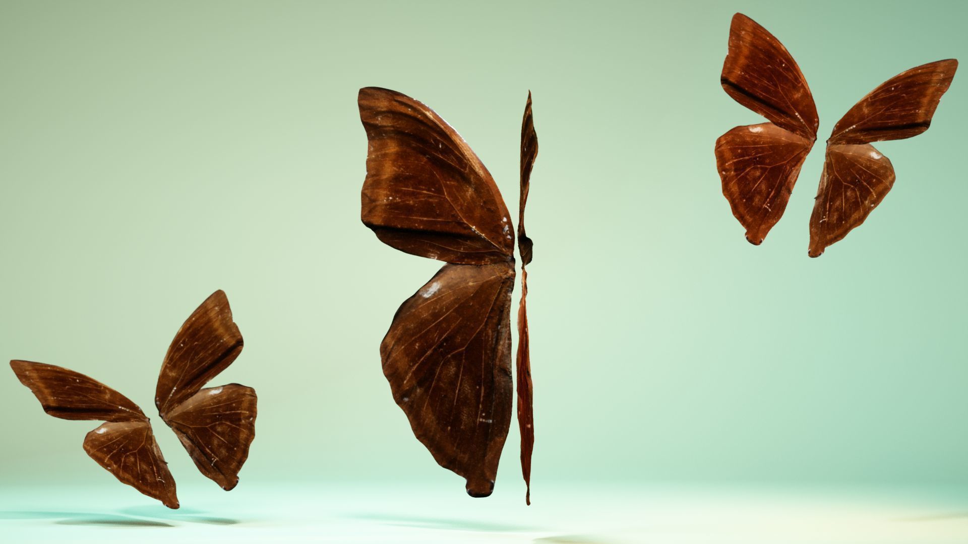 Butterfly 14 Low-poly 3D model_10