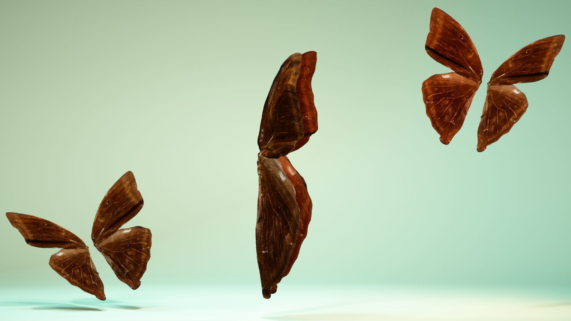 Butterfly 14 Low-poly 3D model_3