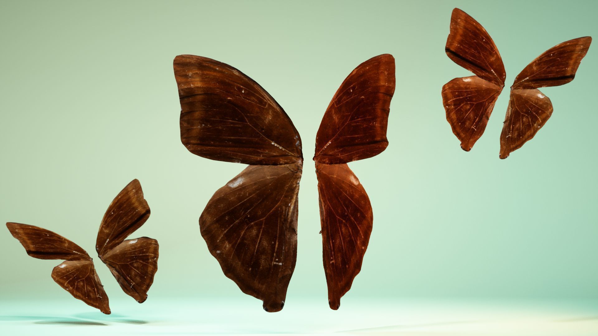 Butterfly 14 Low-poly 3D model_7