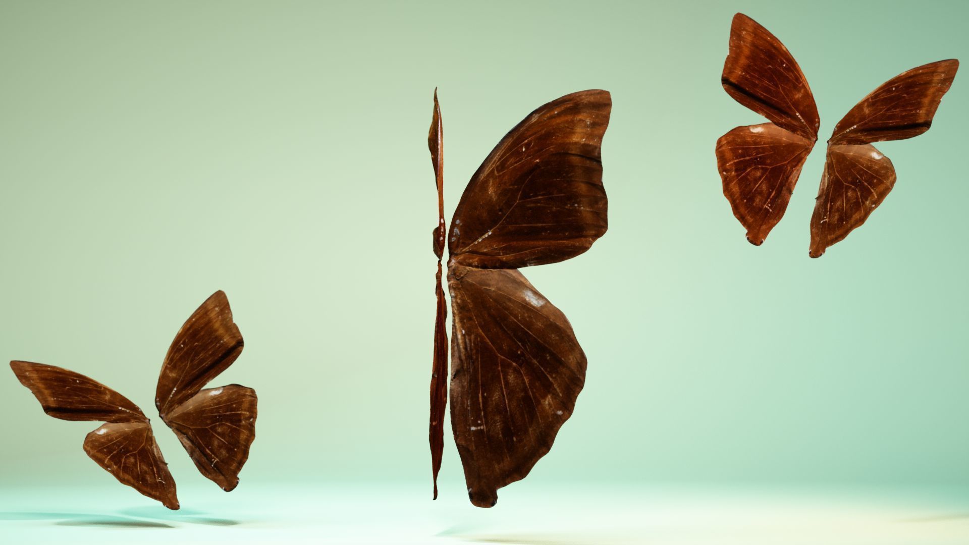 Butterfly 14 Low-poly 3D model_4