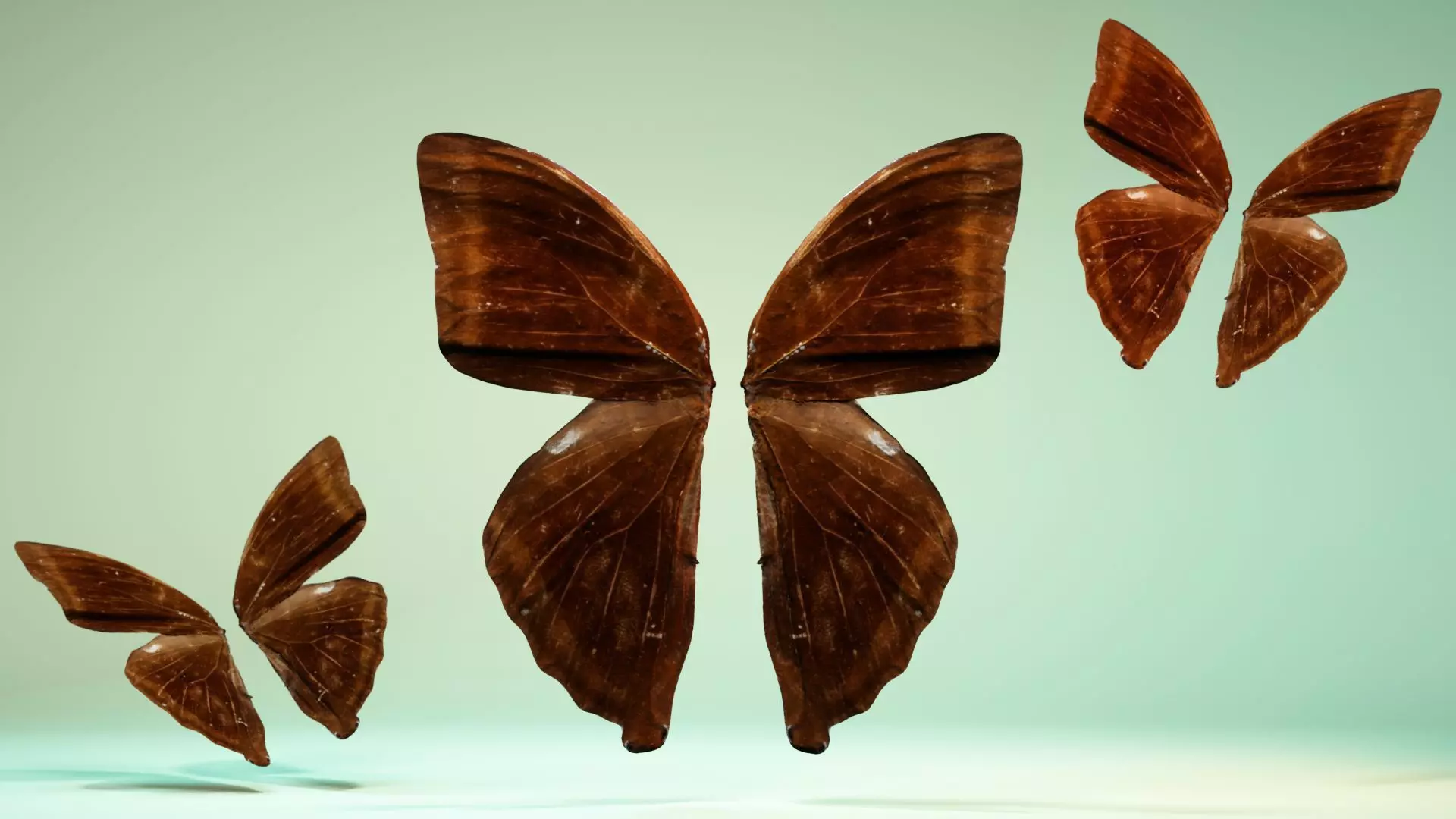 Butterfly 14 Low-poly 3D model_0